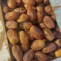خرید و فروش. آرده نخل و خرما وشیره