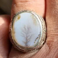 عقیق شجر تک درخت قائن|جواهرات|تهران, سلسبیل شمالی|دیوار