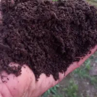 فروش خاک سینی نشا