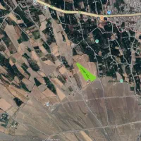 زمین ۱۵۵۰۰ متری با سند شش‌دانگ در کشکسرای