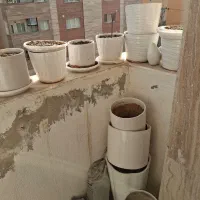 گلدان سرامیکی|گل و گیاه طبیعی|طرقبه, |دیوار