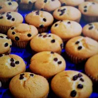 استخدام نیروی اقا درتولیدی کیک