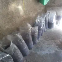 کشمش پاک شده خوردنی و سرکه ای|خوردنی و آشامیدنی|آذرشهر, |دیوار