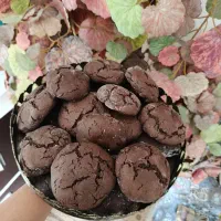 کوکی