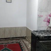 منزل مبله با قیمت بی نظیر|اجارهٔ کوتاه‌مدت آپارتمان و سوئیت|داراب, |دیوار