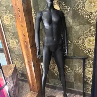 مانکن پارتیشن رگال