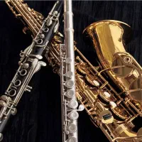 فروش سازهای بادی کلارینت ساکسیفون و ترومپت و فلوت