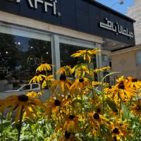 استخدامی در فروشگاه مبلمان