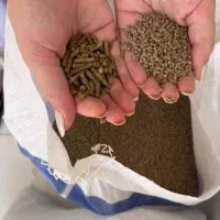 فروش بچه ماهیان گرمابی|ماهی|مرودشت, ژیان|دیوار