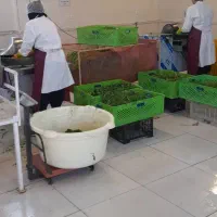 سبزی خرد شده آماده ( تولیدی ده باصفا)