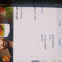 بلیط کنسرت صادقلو