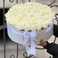 گل ارایی پول وگل روبانی موندگار|گل مصنوعی|رامشیر, |دیوار