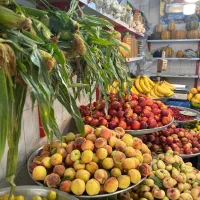 میوه فروشی