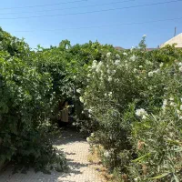 فروش-فورخونه-کلنگی-180-متری