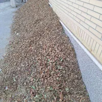 فروش پوست خشک بادام