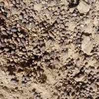 کود گوسفندی|حیوانات مزرعه|رشتخوار, |دیوار