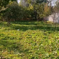 باغ گیلاس تک دانه نزدیک خوی|فروش زمین و ملک کلنگی|فیرورق, |دیوار