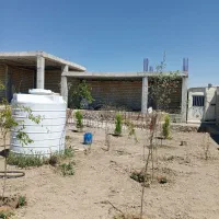 500-متری-ساحلی-مجوز-و-سند