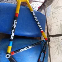 تنه ورینگ آساک