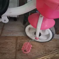 سه چرخه دخترانه|دوچرخه، اسکیت، اسکوتر|مریوان, |دیوار