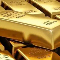 ۳۰۰تومن جایزه ببر