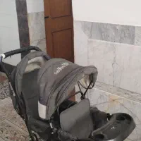 کالاسکه دوقلویی سالم