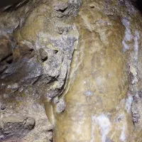 شهاب سنگ الماس و طلا