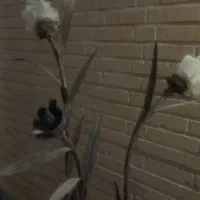 چراغ خواب -آباژور|چراغ خواب و آباژور|سمنان, |دیوار