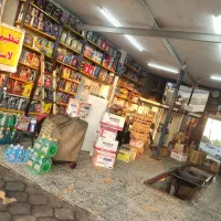 تعویض روغنی و عمده فروشی روغن موتور|خدمات موتور و ماشین|رشت, کوی قدس|دیوار