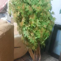 درختچه|گل مصنوعی|بندر ماهشهر, |دیوار