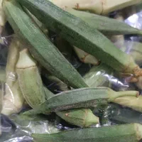 بامیه و بادمجان محلی ارگانیک بدون کود و سم