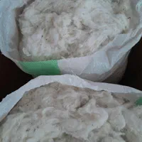 پنبه|آرایشی، بهداشتی، درمانی|گنبد کاووس, |دیوار