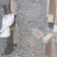 نروماده کمر زردوسرخ|پرنده|سبزوار, امیر کبیر|دیوار