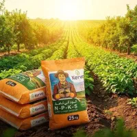 کود ارگانیک