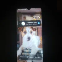 شیامی c12 درحد12م128g|موبایل|ملارد, |دیوار