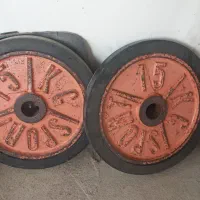 صفحه و هالتر بدنسازی