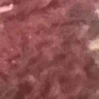 اجاره گله دونی فوری