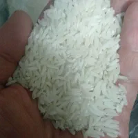 برنج هاشمی درجه یک عطری