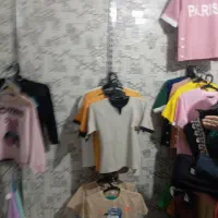 قفسه ورگال|کتابخانه، شلف، قفسه‌های دیواری|ایلام, |دیوار