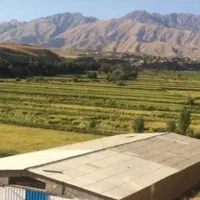 برنج اصل کلات دریافت درب منزل