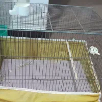 دوعدد قفس با لوازم|لوازم جانبی حیوانات|شاهین‌شهر, شهرک گلدیس|دیوار