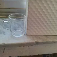 گلدان سرامیک|گل و گیاه طبیعی|مشهد, شفا|دیوار