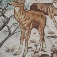 پتو پتو مسافرتی. روفرشی