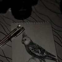 سفارشات طراحی