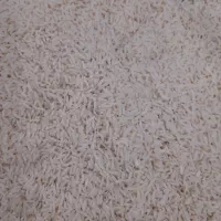برنج هاشمی گیلان