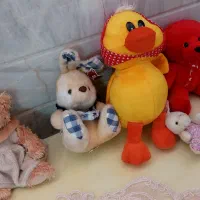 عروسک|اسباب‌‌بازی|قم, نوبهار|دیوار