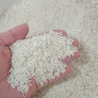 برنج هاشمی شمالی ،،به شرط پخت|خوردنی و آشامیدنی|شیراز, قصرالدشت|دیوار