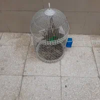 قفس پرنده