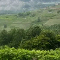زمین-شمالی-دونبش