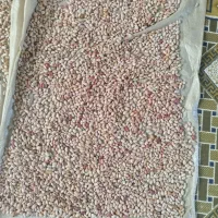 لوبیا چیتی